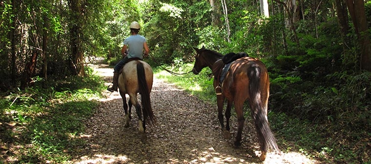 Cabalgatas